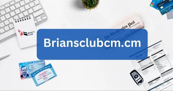 Briansclub: Your Florida Finance Trailblazers