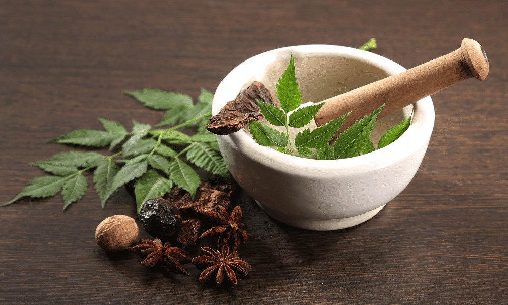 Ayurvedic Skincare: Harnessing the Power of Natural Herbs